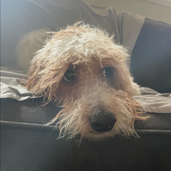 Welcome to my closet! ❤️🌎♻️ - Picture 4 of 14